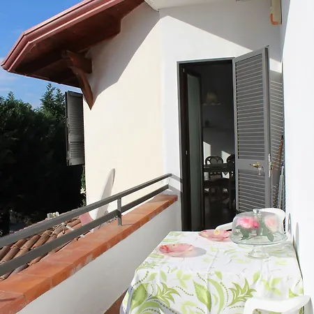 Villa Aladino - Iris